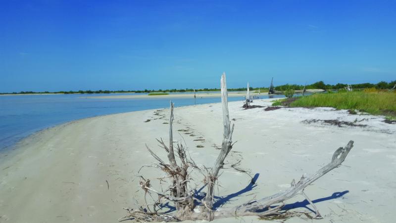 Anclote Key Preserve State Park 